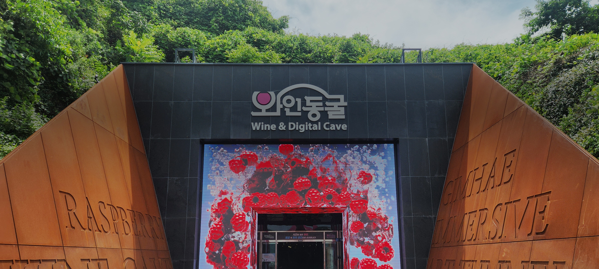 와인동굴