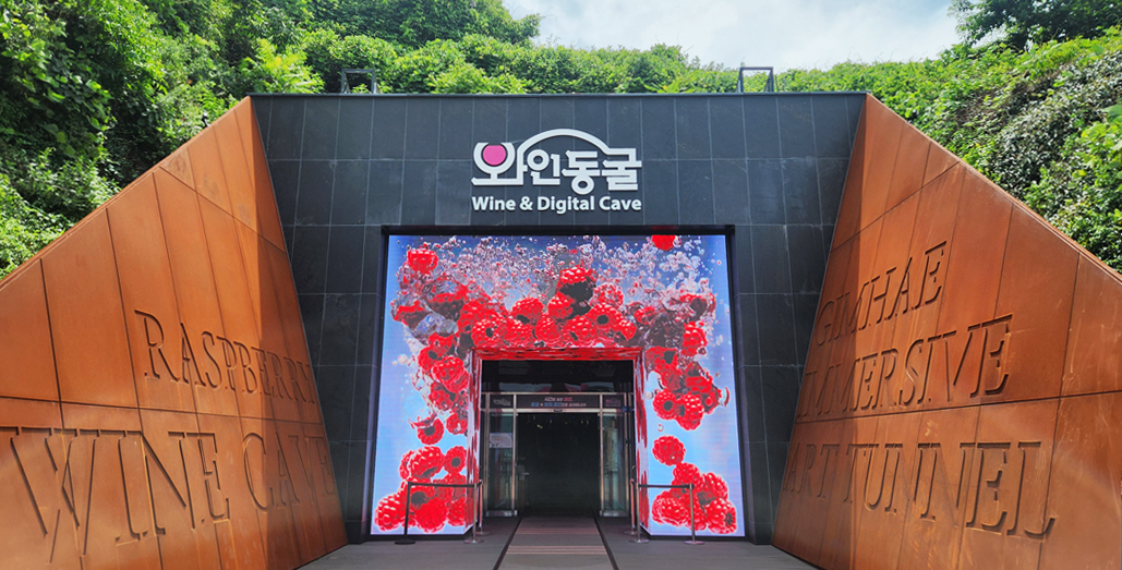 와인동굴 전경01